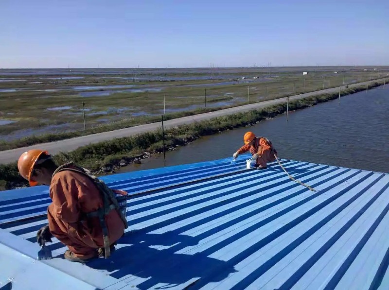 义马钢结构屋面漏水原因